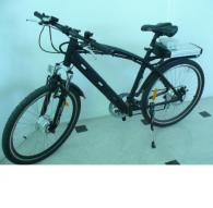 Mountain bike - electric